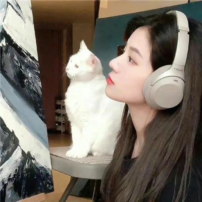 猫汤